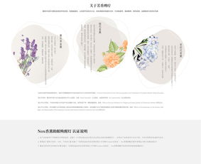 軟件開發 關鍵要素、參數與用戶體驗分析